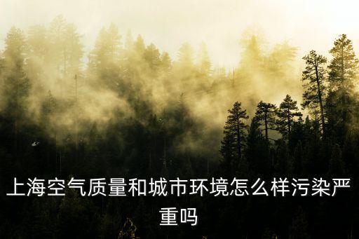 上海市環境空氣質量，上海空氣質量和城市環境怎么樣污染嚴重嗎