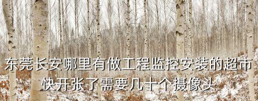 東莞長安哪里有做工程監控安裝的超市快開張了需要幾十個攝像頭