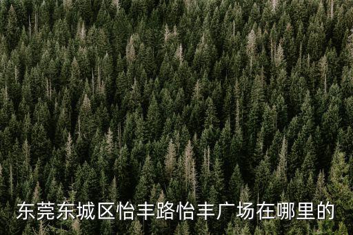 東莞東城區怡豐路怡豐廣場在哪里的