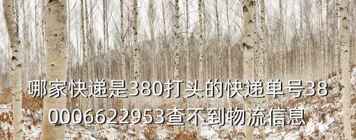 哪家快遞是380打頭的快遞單號380006622953查不到物流信息
