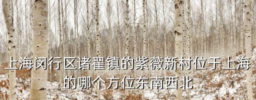 上海閔行區(qū)諸翟鎮(zhèn)的紫薇新村位于上海的哪個方位東南西北