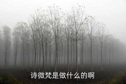 詩(shī)微梵是做什么的啊