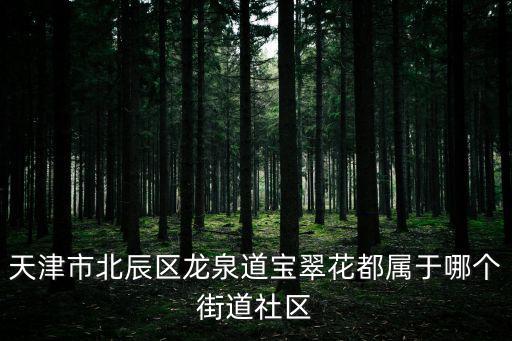 天津市北辰區龍泉道寶翠花都屬于哪個街道社區