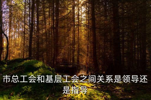 市總工會和基層工會之間關系是領導還是指導