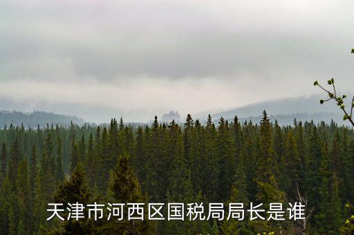 天津市河西區國稅局局長是誰