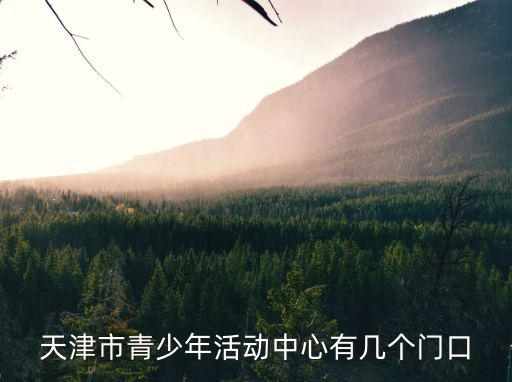 天津市青少年活動中心建設項目，天津青少年活動中心位于什么地方