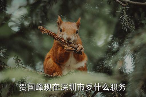 賀國峰現在深圳市委什么職務
