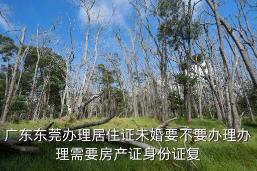 廣東東莞辦理居住證未婚要不要辦理辦理需要房產證身份證復