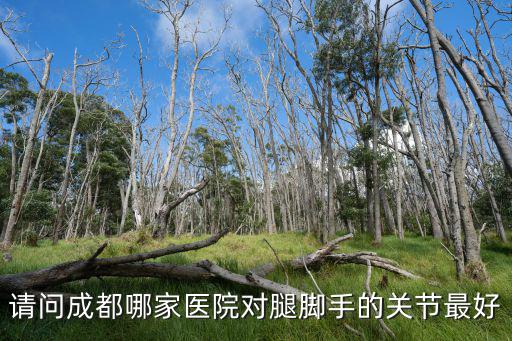 請問成都哪家醫院對腿腳手的關節最好