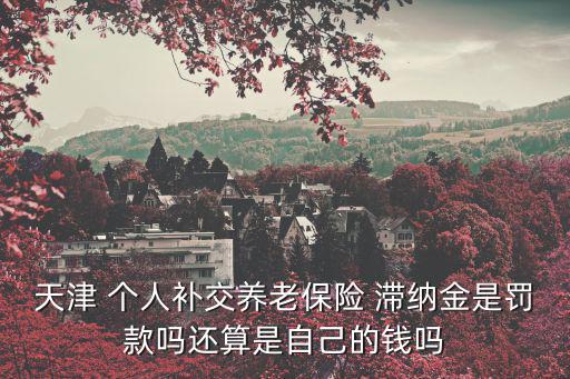 天津 個人補交養老保險 滯納金是罰款嗎還算是自己的錢嗎