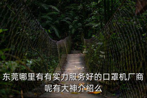 東莞哪里有有實力服務好的口罩機廠商呢有大神介紹么