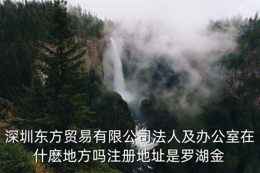 深圳東方貿易有限公司法人及辦公室在什麼地方嗎注冊地址是羅湖金