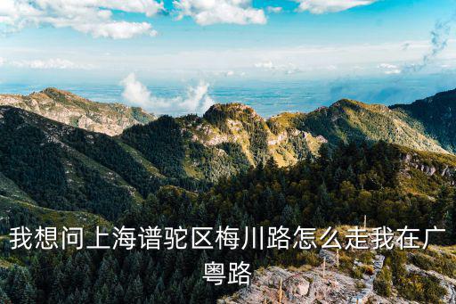 上海市梅川路1493，我想問上海譜駝區梅川路怎么走我在廣粵路