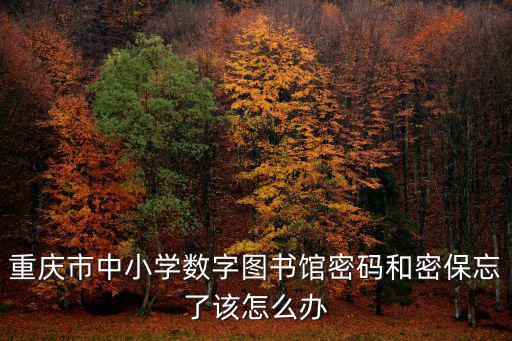 重慶市中小學數(shù)字圖書館密碼和密保忘了該怎么辦