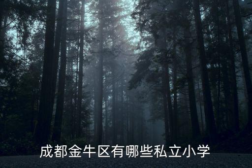 成都金牛區(qū)有哪些私立小學