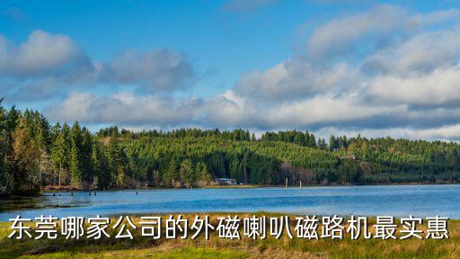 東莞哪家公司的外磁喇叭磁路機(jī)最實(shí)惠