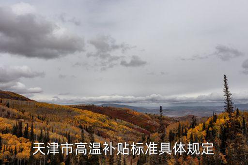 天津市日間照料補(bǔ)貼標(biāo)準(zhǔn)，天津市國家機(jī)關(guān)一般工作人員出差伙食補(bǔ)助標(biāo)準(zhǔn)
