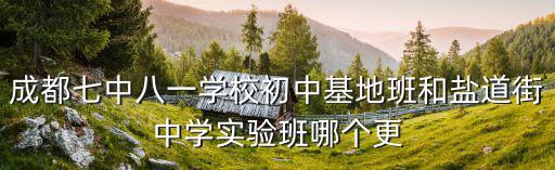 成都市鹽道街中學(xué)實(shí)驗(yàn)學(xué)，成都七中八一學(xué)校初中基地班和鹽道街中學(xué)實(shí)驗(yàn)班哪個(gè)更