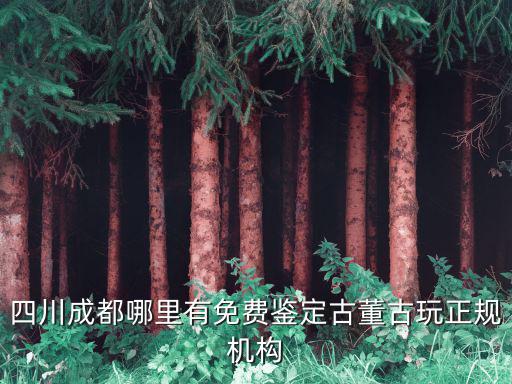 成都市古錢幣免費鑒定中心，我想知道成都有沒有免費做古董鑒定的地方