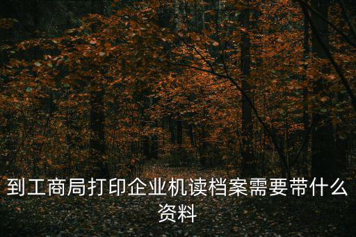 上海市工商局機讀檔案外檔，到工商局打印企業機讀檔案需要帶什么資料