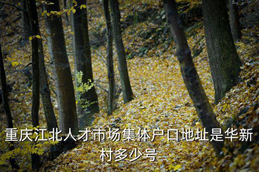 重慶江北人才市場集體戶口地址是華新村多少號
