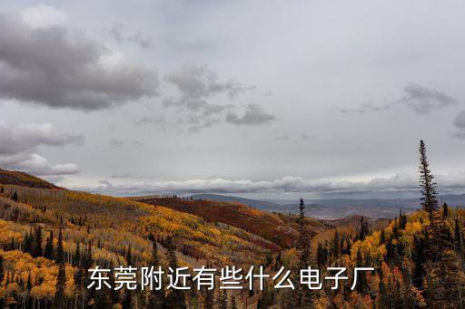 東莞附近有些什么電子廠