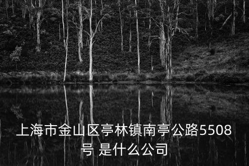 上海市金山區亭林鎮南亭公路5508號 是什么公司
