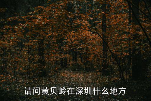 請問黃貝嶺在深圳什么地方
