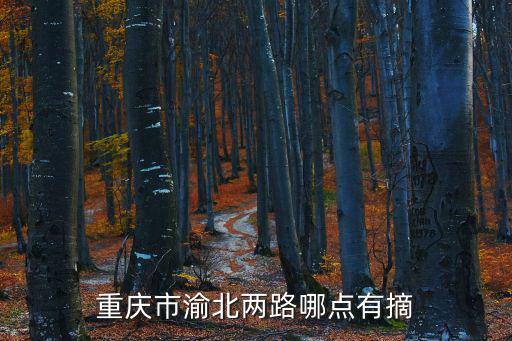 重慶市渝北區木耳鎮政府官網，重慶渝北區木耳鎮規劃兩江新區的有那些村我是白云山村的在規劃以內