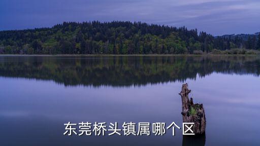 東莞橋頭鎮(zhèn)屬哪個區(qū)