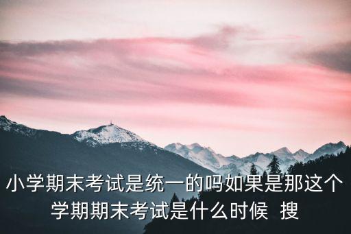 小學期末考試是統一的嗎如果是那這個學期期末考試是什么時候  搜