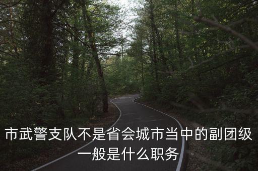 市武警支隊(duì)不是省會(huì)城市當(dāng)中的副團(tuán)級(jí)一般是什么職務(wù)