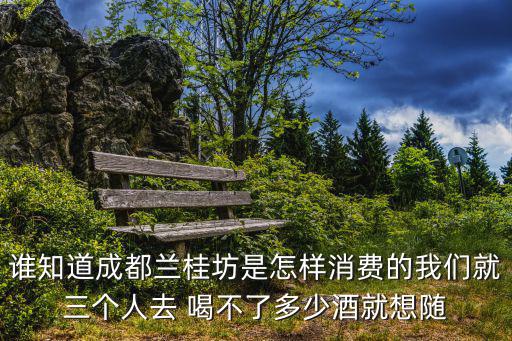 成都市蘭桂坊卡座多少錢，誰知道成都蘭桂坊是怎樣消費的我們就三個人去 喝不了多少酒就想隨