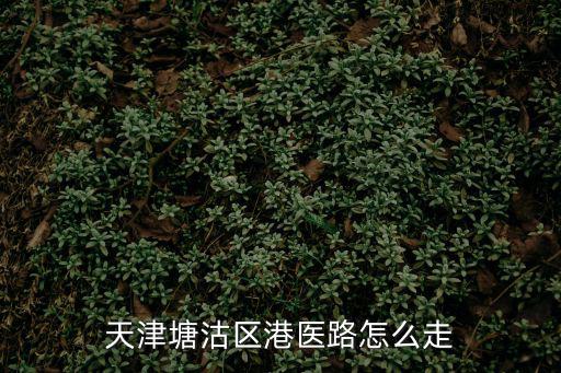 天津塘沽區港醫路怎么走