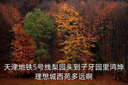 天津地鐵5號線梨園頭到子牙園里鴻坤理想城西苑多遠(yuǎn)啊