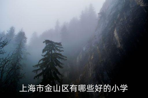 上海市金山區有哪些好的小學