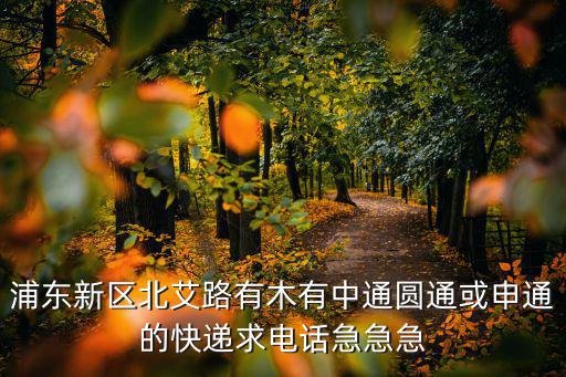 上海市浦東新區東靖圓通客服，離上海浦東新區大道站路最近的快遞公司電話是多少