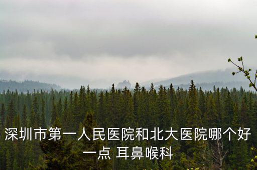 北京大學(xué)深圳醫(yī)院耳鼻喉科，深圳耳鼻喉醫(yī)院地址