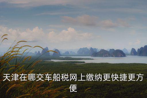 天津在哪交車船稅網(wǎng)上繳納更快捷更方便