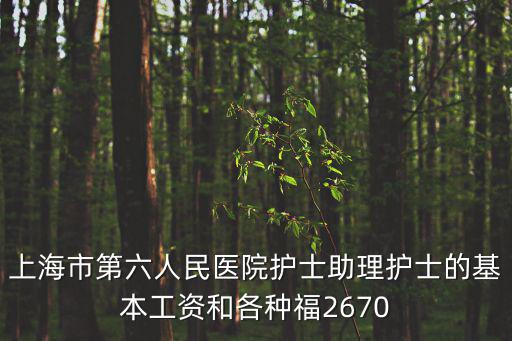 上海市第六人民醫(yī)院護(hù)士助理護(hù)士的基本工資和各種福2670