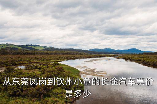 從東莞鳳崗到欽州小董的長途汽車票價是多少