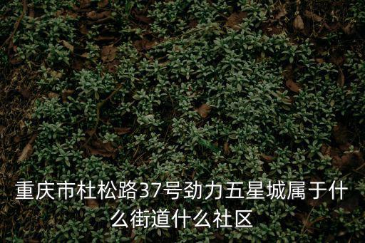重慶市杜松路37號勁力五星城屬于什么街道什么社區