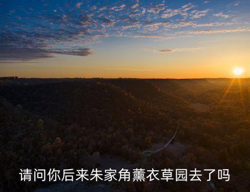 請問你后來朱家角薰衣草園去了嗎