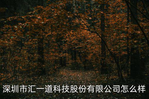 深圳市匯一道科技股份有限公司怎么樣