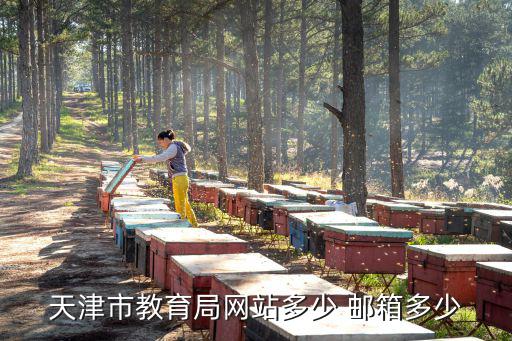 天津市教育局，天津市教育局網站多少 郵箱多少