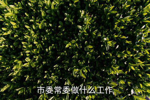 市委常委做什么工作