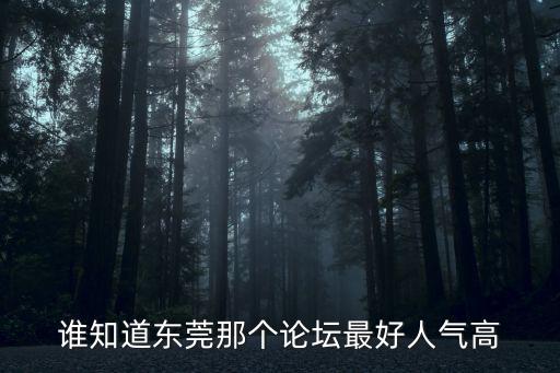 誰(shuí)知道東莞那個(gè)論壇最好人氣高