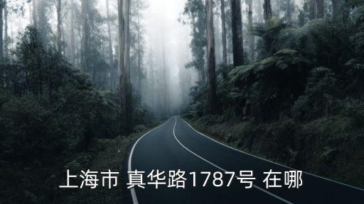 上海市 真華路1787號 在哪