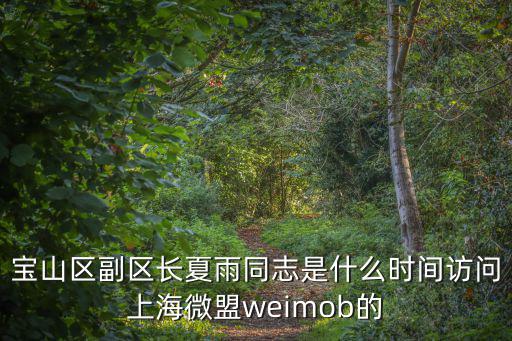 寶山區副區長夏雨同志是什么時間訪問上海微盟weimob的