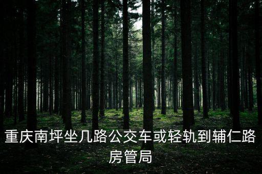 重慶市南岸區南坪輔仁路，重慶南坪輔仁路中通快遞在哪里